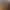 Kissing Pro AI effects generated image