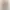 quad_meme AI effects generated image