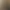 couple_arrival AI effects generated image