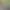 Flower Receive AI effects generated image