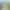 Exotic Princes AI effects generated image