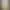morphlab AI effects generated image