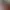 Kissing AI effects generated image