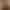 live_photo AI effects generated image