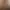 emotionlab AI effects generated image