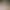 couple_arrival AI effects generated image