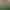 Image to Image AI effects generated image