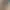 Image to Image AI effects generated image