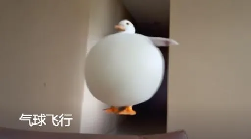 Balloon Flyaway