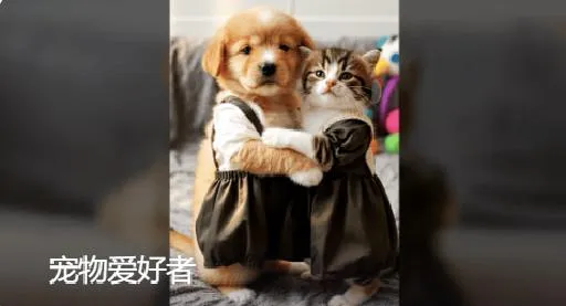 pet_lovers