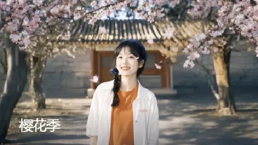 Sakura Season